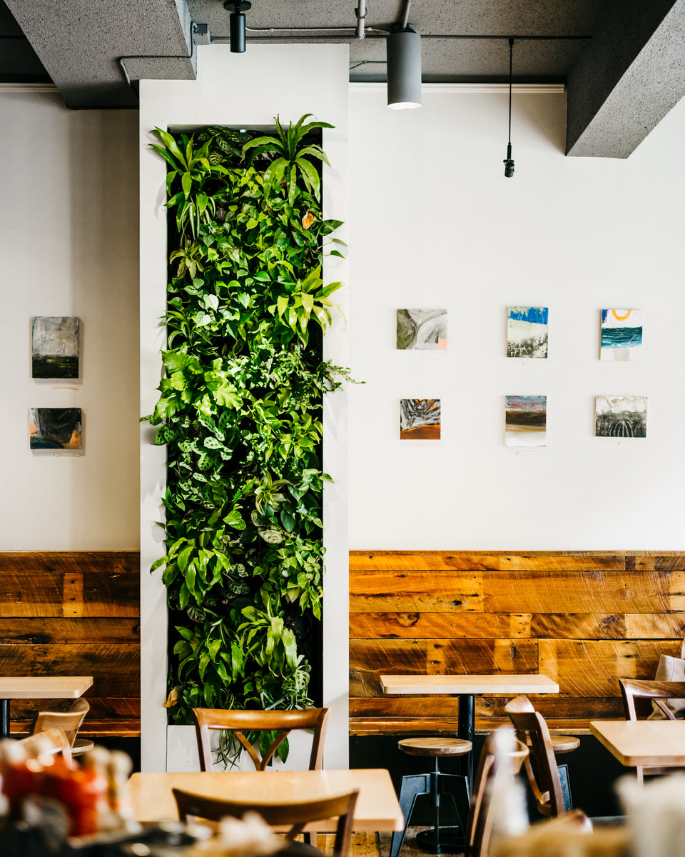 Prince Street Cafe Lancaster Commons Company of Lancaster